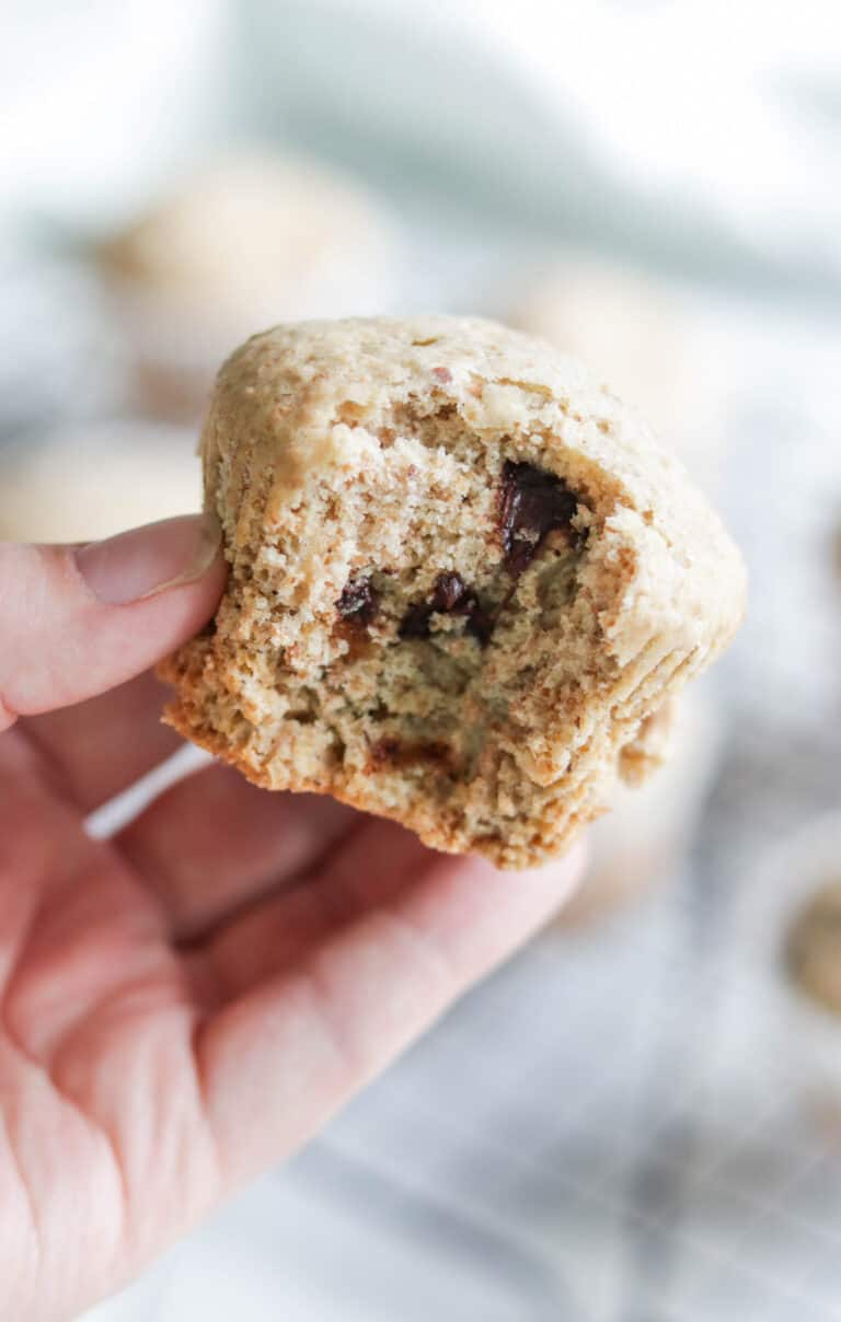 Low Fat Chocolate Chip Banana Muffins - Nikki's Plate