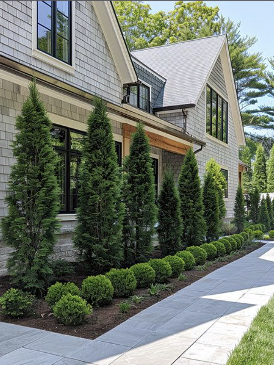 Landscaping ideas for front of house with tall evergreen trees and round boxwood shrubs lining a modern farmhouse exterior.