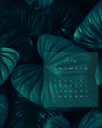 Free July 2022 Desktop Calendar Backgrounds; Here are your free July backgrounds for computers. Tech freebies!