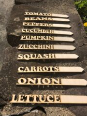15 Genius Vegetable Gardening Tips for Beginners - Nikki's Plate