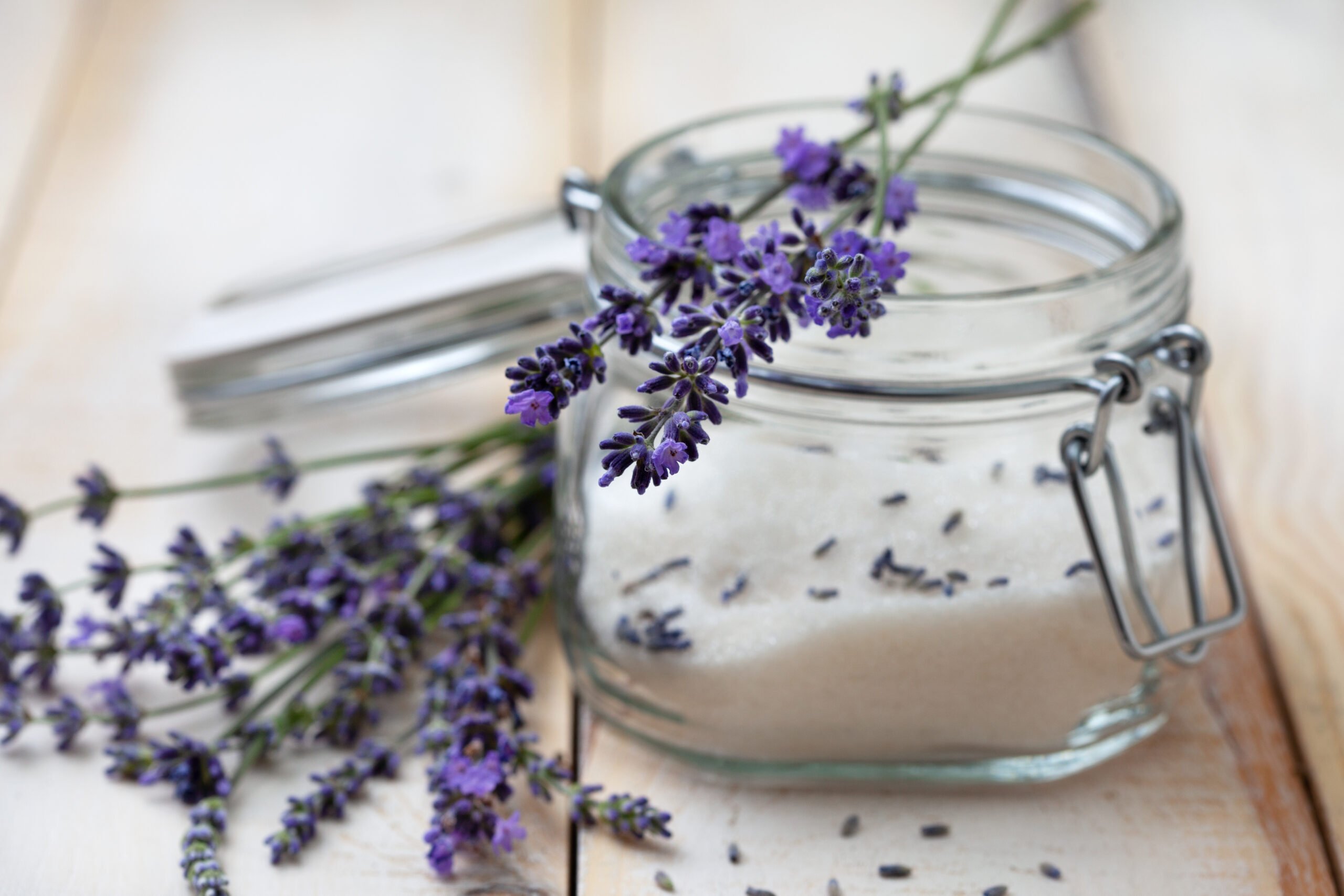 DIY Lavender Pre-Vacuum Rug Cleaner; Is your rug looking a little… dingy? It might just need a quick refresh before you vacuum using this homemade pre-vacuum cleaner!