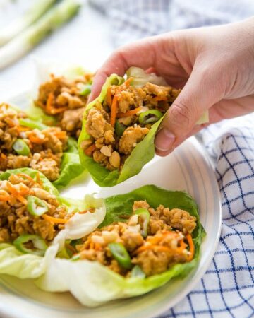 Healthy Dinners for Fast Weight Loss; Healthy meal ideas for dinner that will help you lose a few pounds! Easy and quick dinner recipes.