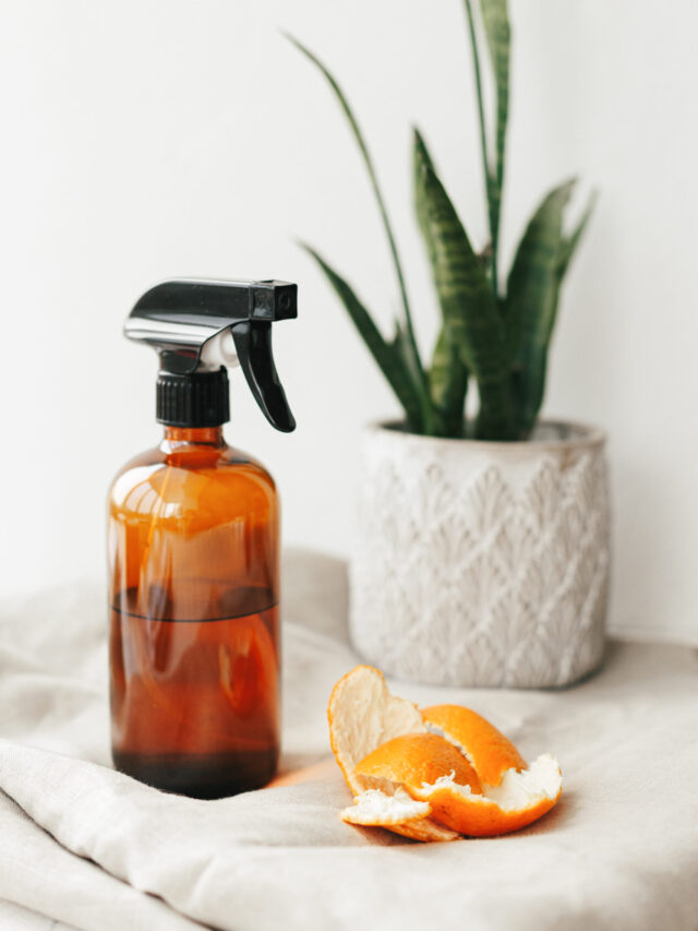 HOMEMADE CITRUS ALLPURPOSE CLEANER Nikki's Plate