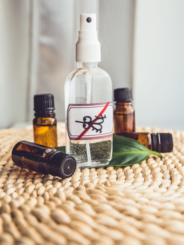 Homemade Natural Bug Spray Recipe; an easy essential oil spray to keep bugs and mosquitos away using witch hazel, citronella, eucalyptus, cedarwood, rosemary, geranium and lavender.