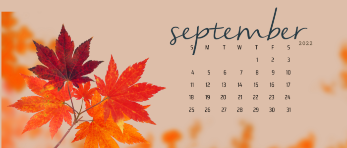 Free September 2022 Desktop Calendar Backgrounds; Here are your free September backgrounds for computers and laptops. Tech freebies for this month!