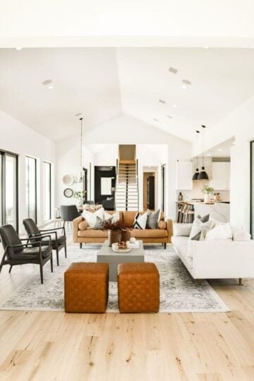 Top 25 Scandinavian Living Room Designs and Ideas - Nikki's Plate
