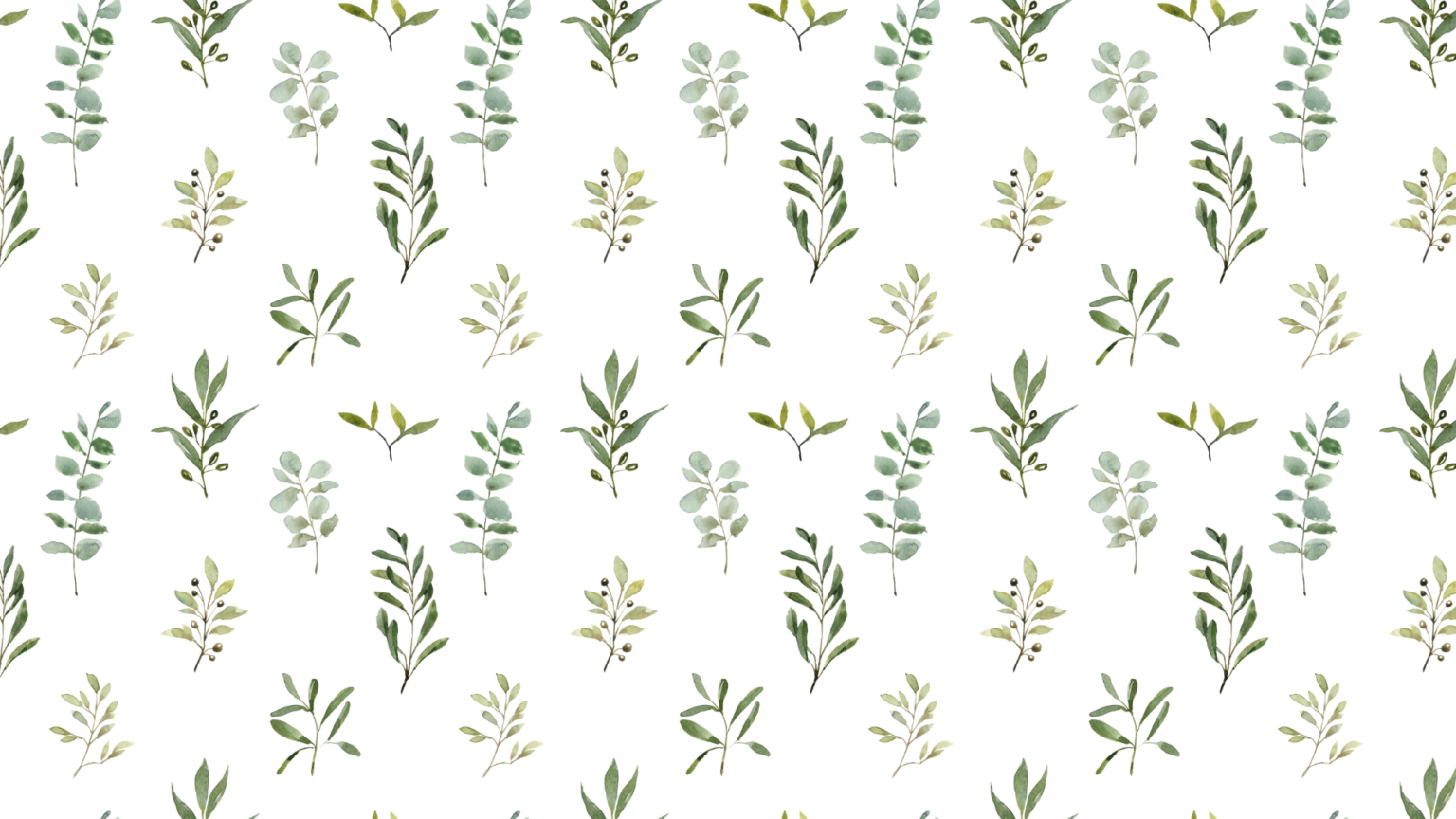 20 Sage Green Aesthetic Wallpaper Backgrounds (FREE)