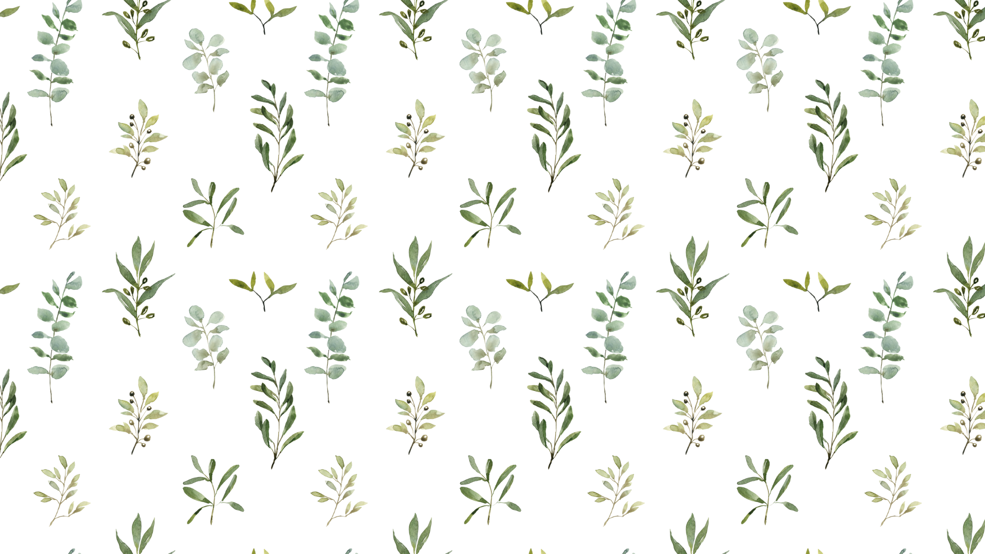 20 Sage Green Aesthetic Wallpaper Backgrounds (FREE)