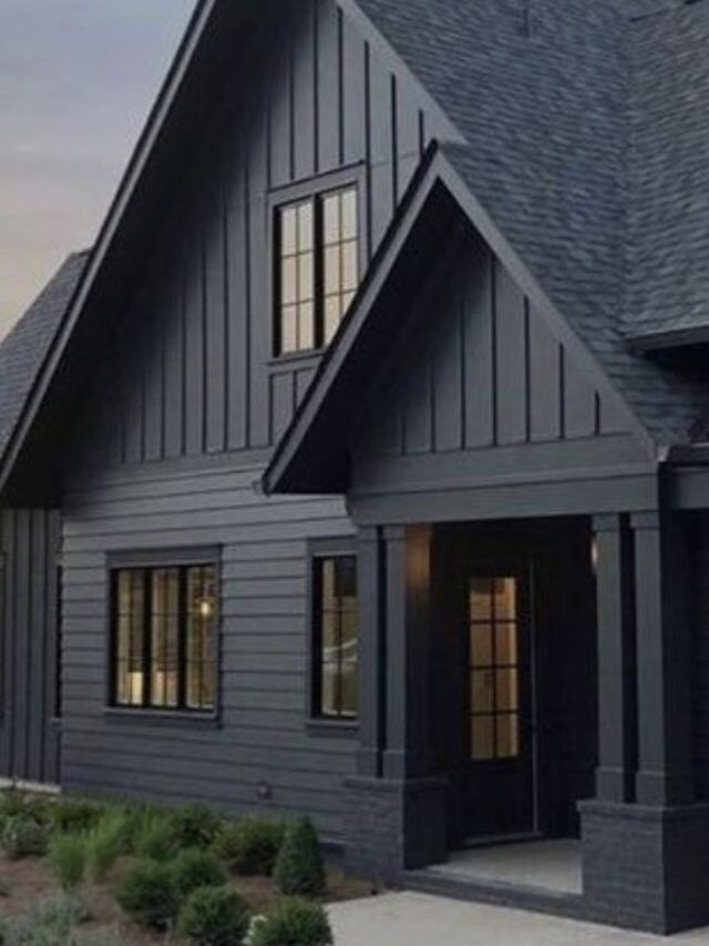 Modern Black Farmhouse Designs