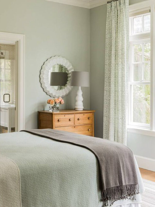 TRENDING PAINT COLOR QUIET MOMENTS by BENJAMIN MOORE Nikki's Plate