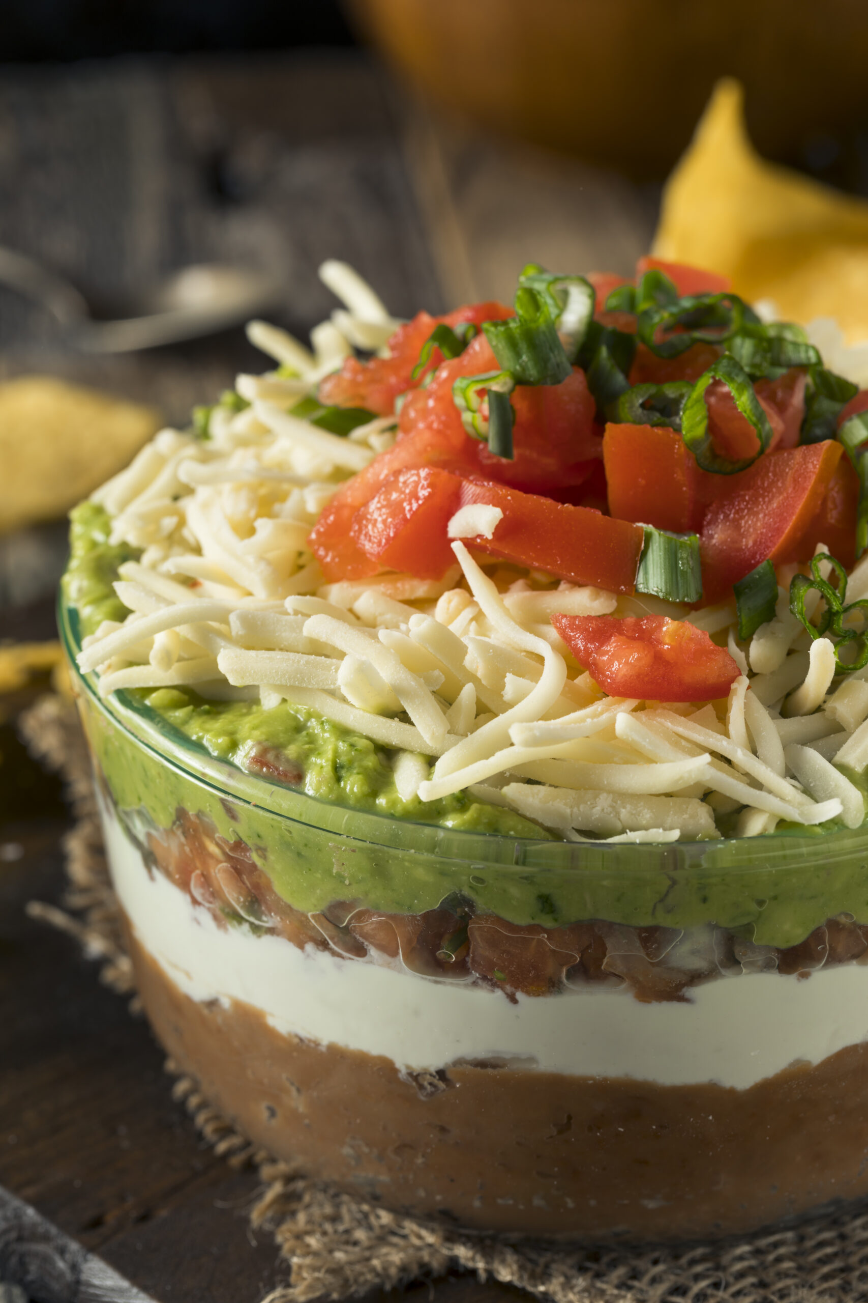 7-Layered Mexican Dip Appetizer; refried beans mixture, sour cream, salsa, guacamole, cheese, tomatoes, and green onions!