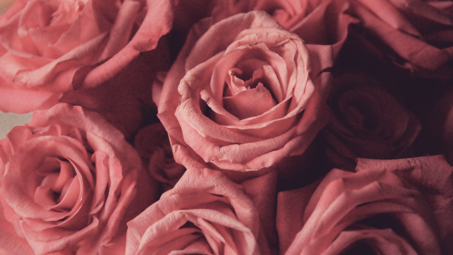 25 Best Free Blush Pink Wallpaper for Desktop (Aesthetic Pink Backgrounds)