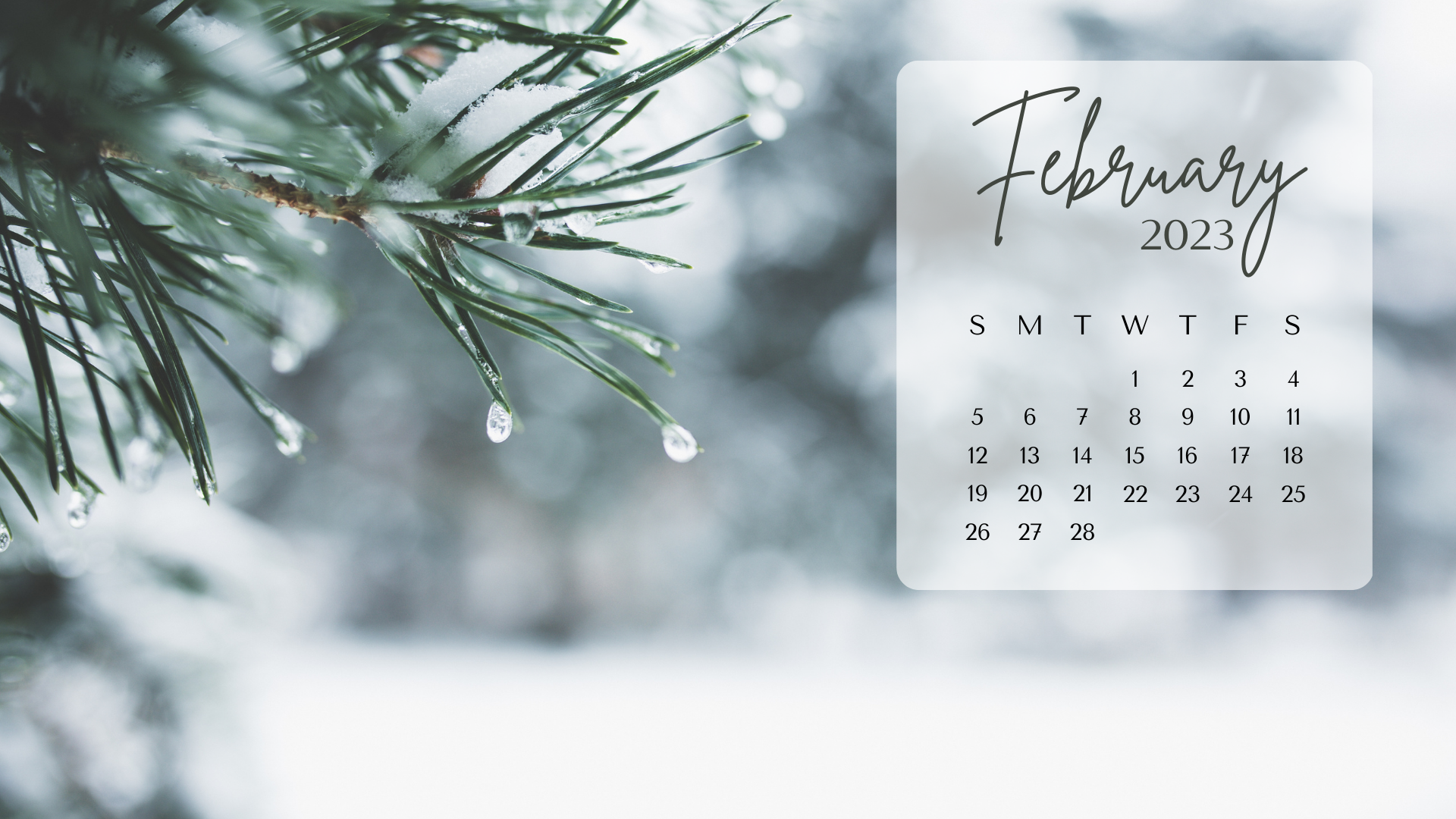 FEBRUARY 2023 desktop calendar backgrounds;  Here are your free February backgrounds for computers and laptops. Tech freebies for this month!