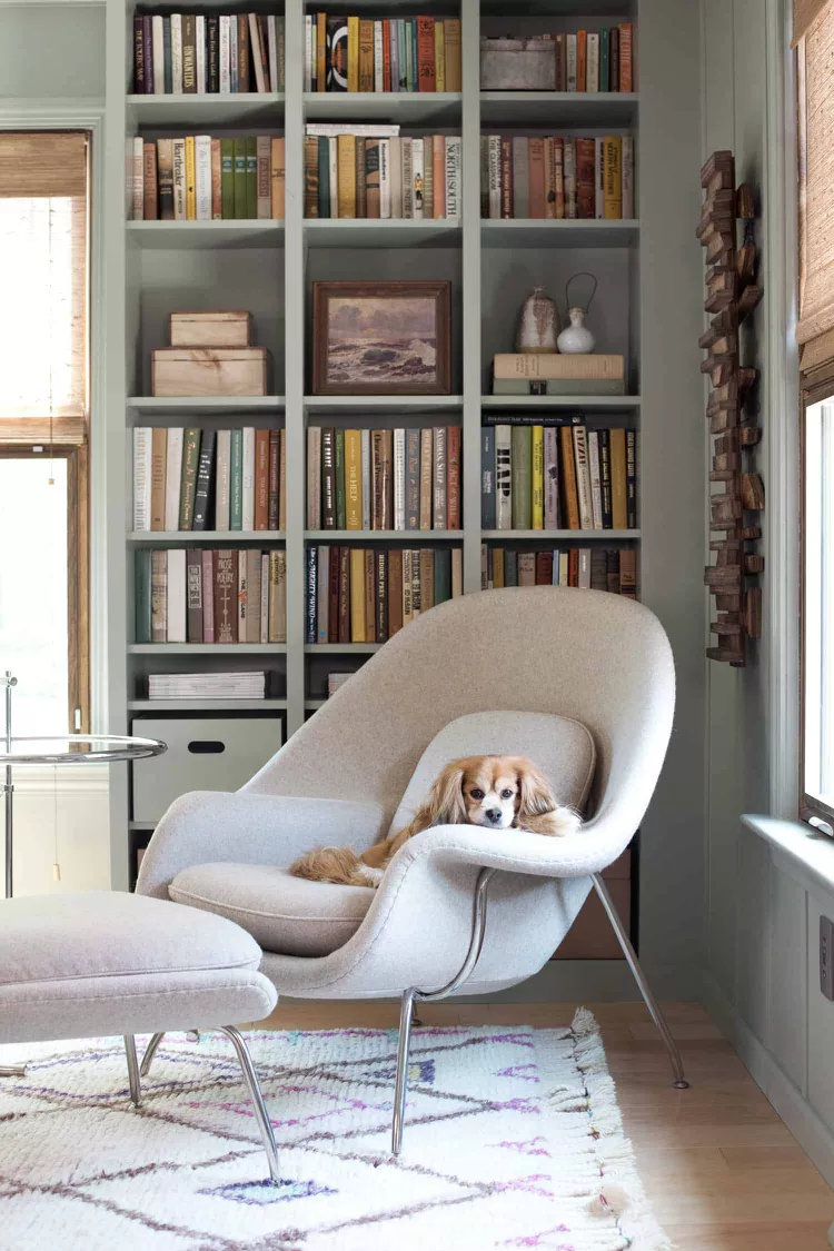 Cozy reading nook with built-in bookshelves, modern lounge chair, and dog relaxing