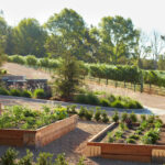 Garden Tips to Start in Spring; tips to get you started on the right foot for this gardening season.