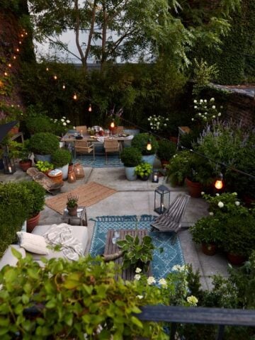 Transform your outdoor space into a serene retreat with these expert tips and tricks. Discover secrets to create an outdoor oasis that both enhances your home's aesthetic and offers a blissful escape. Whether you have a small balcony or a spacious backyard, this guide has everything homeowners need to bring luxury and relaxation to their outdoor living areas.