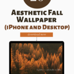 Aesthetic Fall Wallpaper
