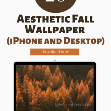 Aesthetic Fall Wallpaper