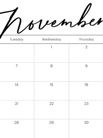 Looking for a free printable November 2023 calendar? Stay organized and plan your month with ease using my downloadable month November cute calendars. Sunday start blank November calendars and planners! Use as work or school calendars.