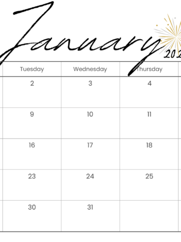 Looking for a free printable January 2024 calendar? Stay organized and plan your month with ease using my downloadable month January cute calendars. Sunday start blank January calendars! Use as work or school calendars.