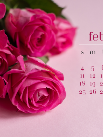 Free February 2024 Desktop Calendar Backgrounds; Here are your free February backgrounds for computers and laptops. Tech freebies for this month!