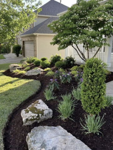 Discover essential steps and innovative ideas for designing a beautiful front yard landscape that enhances your home's curb appeal. From understanding your yard's needs to regular maintenance, this blog post serves as a comprehensive guide to transforming your outdoor space.