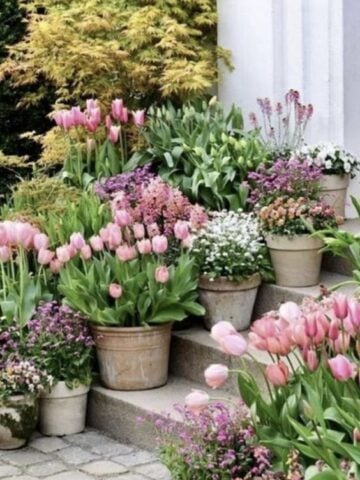 How to Prepare for Spring 2024; spring garden with potted tulips