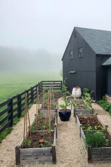 10 Tips for Creating a Successful Vegetable Garden - Nikki's Plate