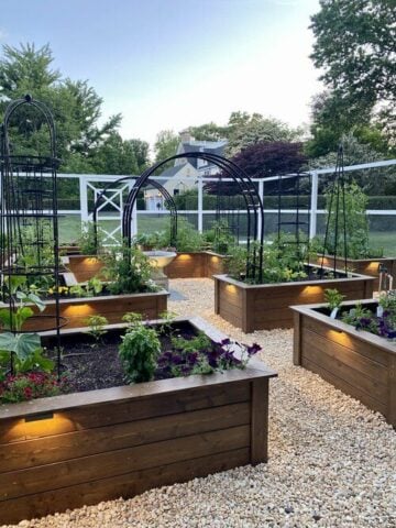 10 Tips for Creating a Successful Vegetable Garden - Nikki's Plate