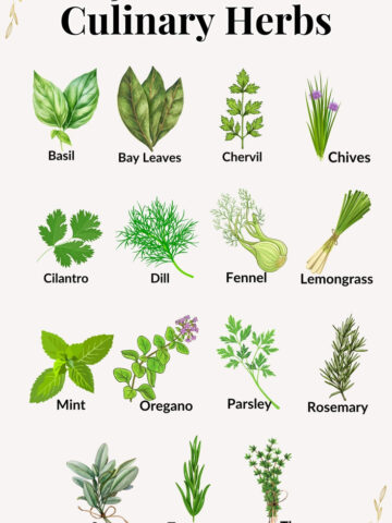 Culinary Herbs