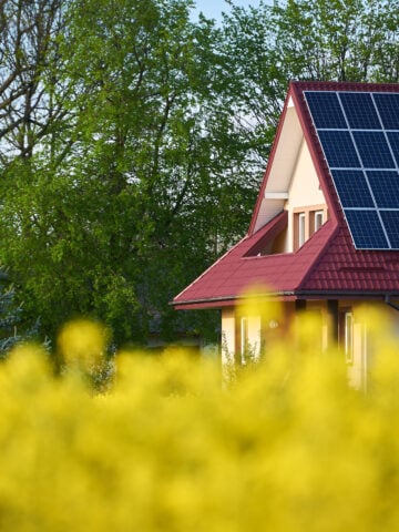 Roof insulation: Long-term maintenance includes addressing roof repairs promptly. By doing so, homeowners ensure that insulation continues to perform optimally, improving overall energy efficiency and comfort.