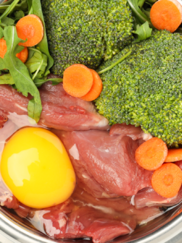 Quick and Easy Dog Meal Prep: Save Time and Feed Your Dog Right