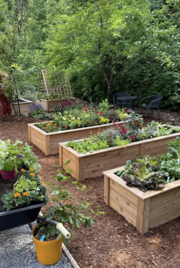 25 Beautiful Homestead Garden Ideas to Maximize Your Space