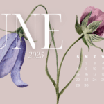 Free June 2025 Desktop Calendar Backgrounds; Here are your free June backgrounds for computers and laptops. Tech freebies for this month!