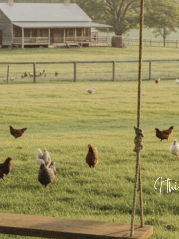 Bring rustic charm to your screen with these 30 free homesteading desktop backgrounds. Perfect for slow living lovers, cottagecore fans, and modern homesteaders.