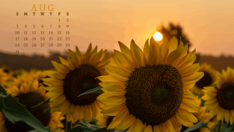 Free August 2025 Desktop Calendar Backgrounds: Here are your free August backgrounds for computers and laptops. Tech freebies for this month!