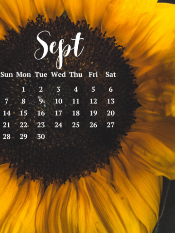 Free September 2025 Desktop Calendar Backgrounds: Here are your free September backgrounds for computers and laptops. Tech freebies for this month!