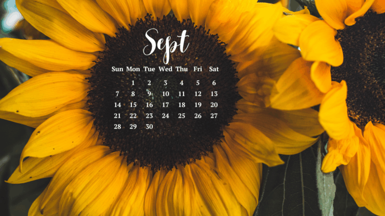 Free September 2025 Desktop Calendar Backgrounds: Here are your free September backgrounds for computers and laptops. Tech freebies for this month!