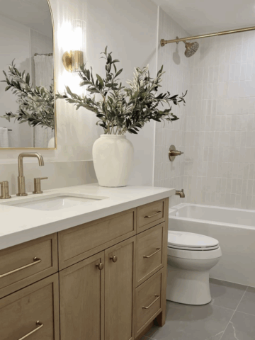 toilet repairs