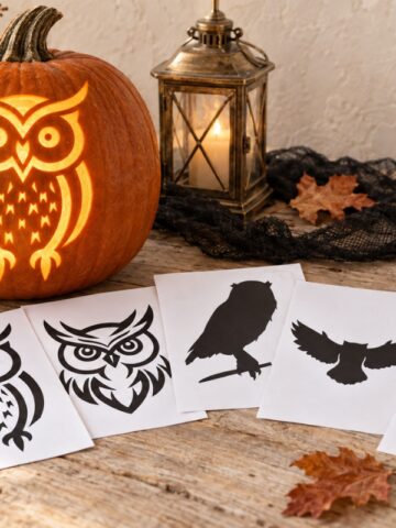 Fifteen free owl pumpkin carving stencils displayed beside a glowing owl jack-o’-lantern.