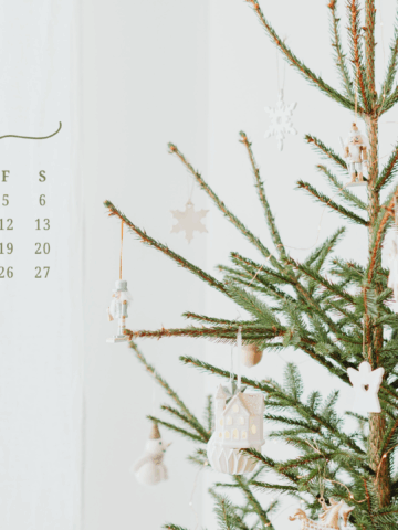Free December 2025 Desktop Calendar Backgrounds: Here are your free December backgrounds for computers and laptops. Tech freebies for this month!