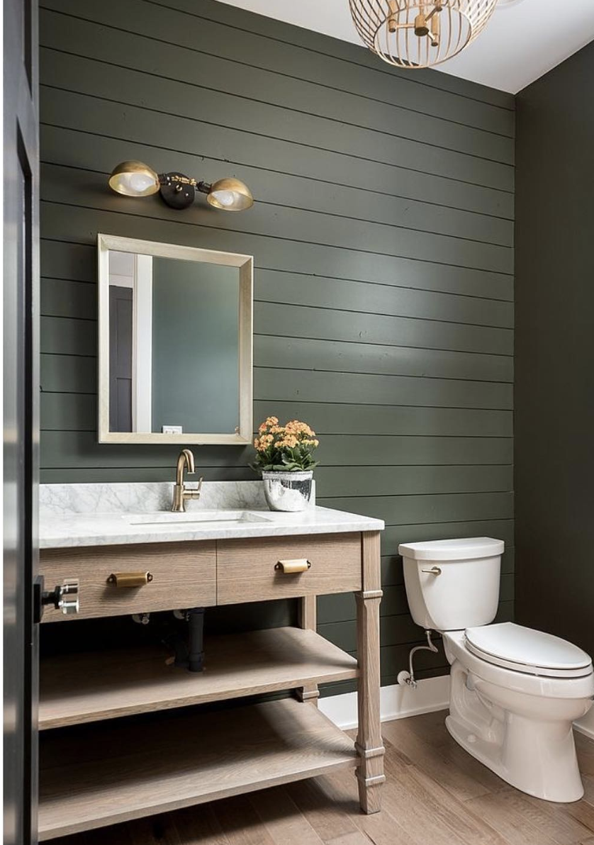 Modern bathroom with dark green horizontal shiplap walls, brass lighting, wood vanity, and white toilet.