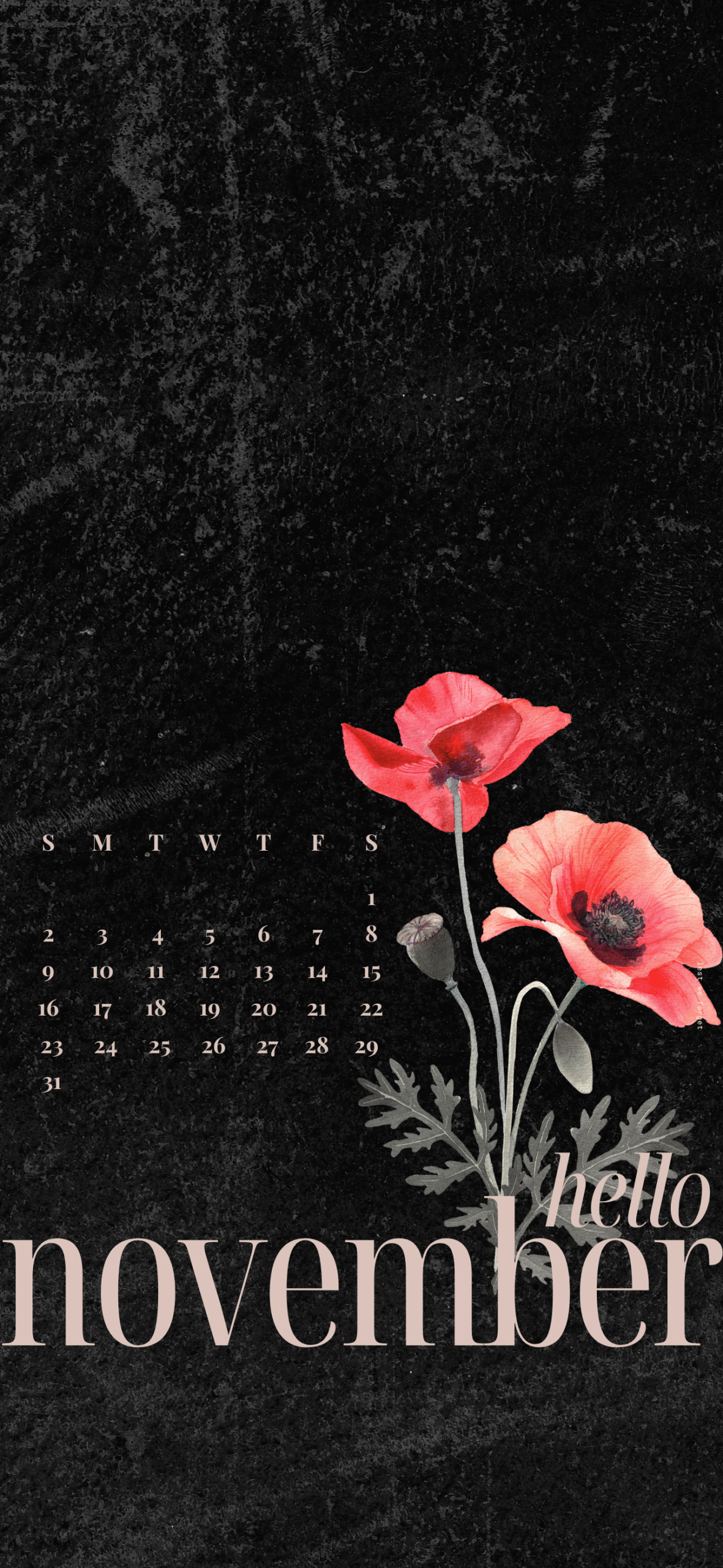 November 2025 iPhone calendar wallpaper with black textured background and red poppy flower illustration.