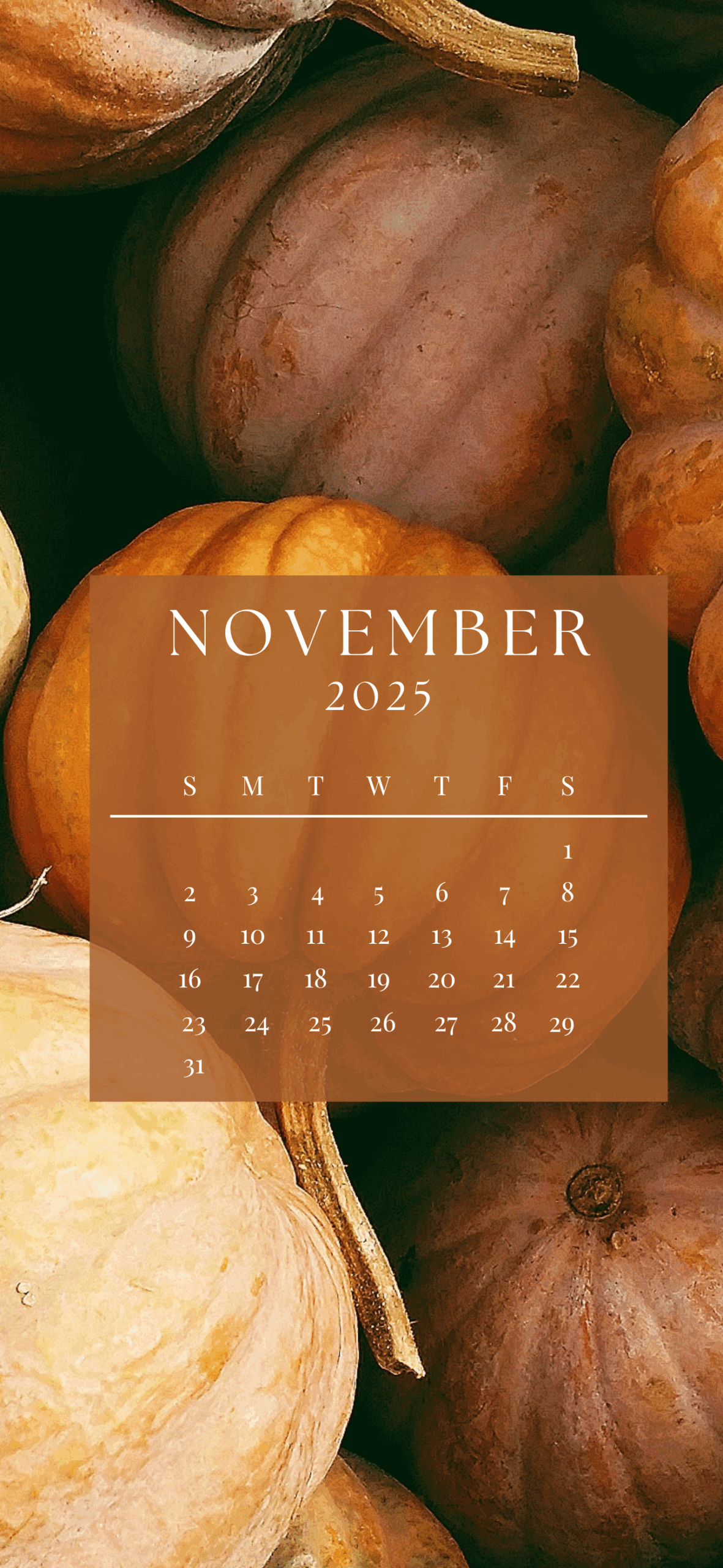 November 2025 iPhone calendar wallpaper with warm-toned pumpkins and rustic fall harvest design.