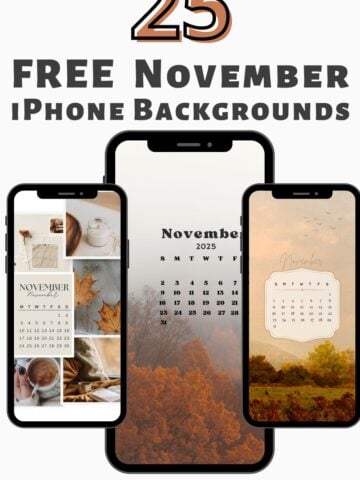 Download 25 free November 2025 iPhone Calendar Backgrounds with cozy fall vibes! Stay organized and seasonal with these easy-to-download iPhone wallpapers. Perfect for your phone this autumn!