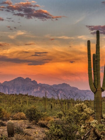 What Materials Are Best for Long-Lasting Wholesale Kitchen Cabinets in Arizona’s Climate