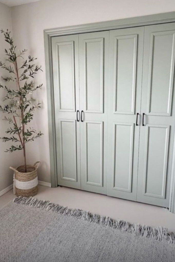 Sage green bifold closet doors with classic panel detailing and black handles, styled with a woven basket holding an olive tree and a fringed neutral rug.