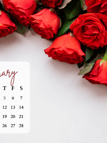 Free February 2026 Desktop Calendar Backgrounds: Here are your free February backgrounds for computers and laptops. Tech freebies for this month!