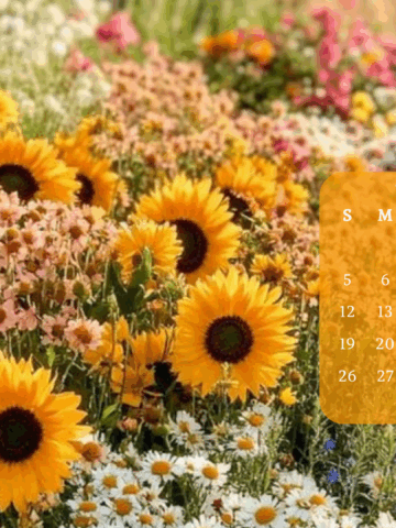 Free April 2026 Desktop Calendar Backgrounds: Here are your free April backgrounds for computers and laptops. Tech freebies for this month!