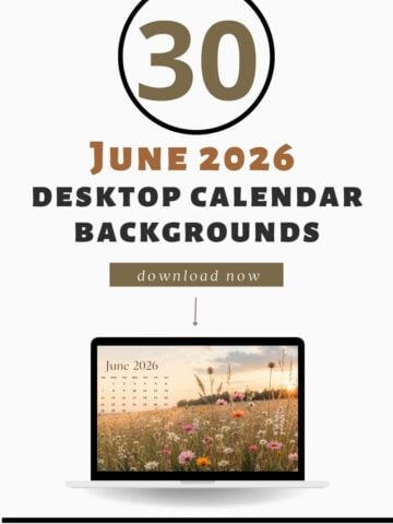 30 free June 2026 desktop calendar backgrounds download graphic featuring a laptop mockup with a June 2026 wildflower desktop calendar wallpaper, bold text that says “June 2026 Desktop Calendar Backgrounds,” and a download now button for free monthly computer wallpapers from Nikki’s Plate.